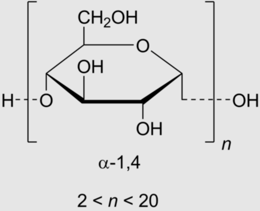 Understanding Maltodextrin